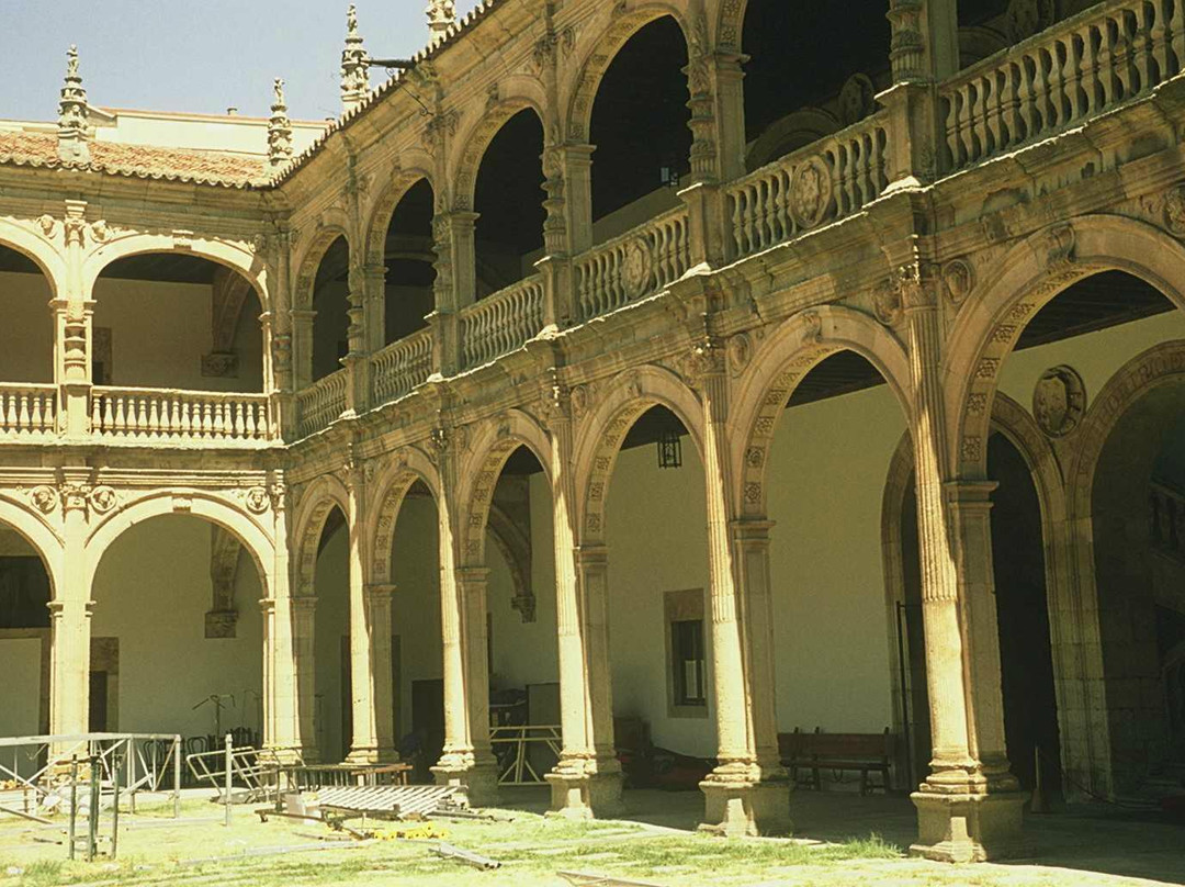 Colegio Mayor Arzobispo Fonseca (Archbishop Fonseca College)-萨拉曼卡必去景点