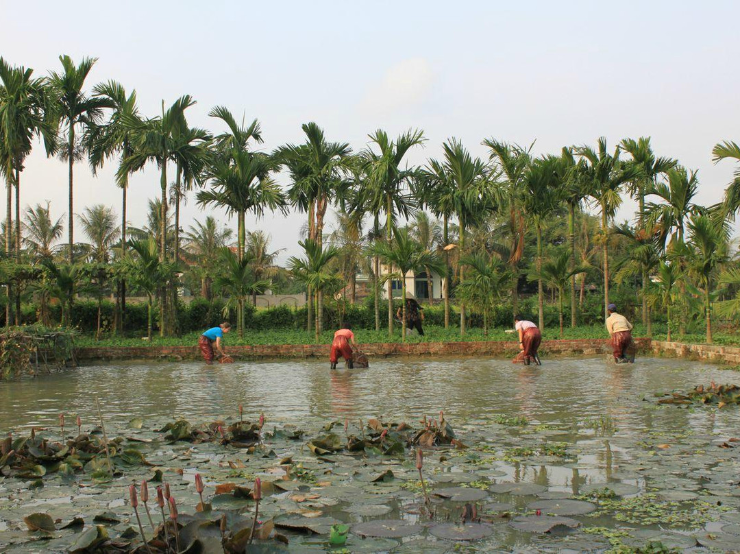 Yen Duc Village Tour-河内必去景点