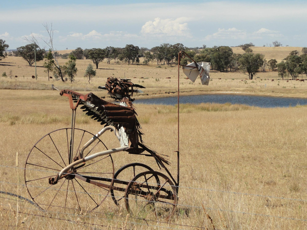 Animals on Bikes-Molong必去景点