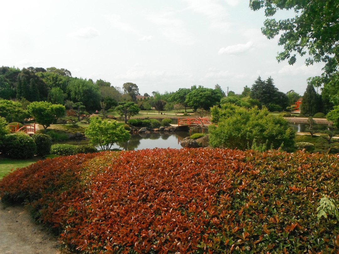 Japanese Garden-图沃柏必去景点