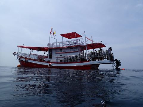 ScubaDawgs潜水&浮潜之旅景点图片