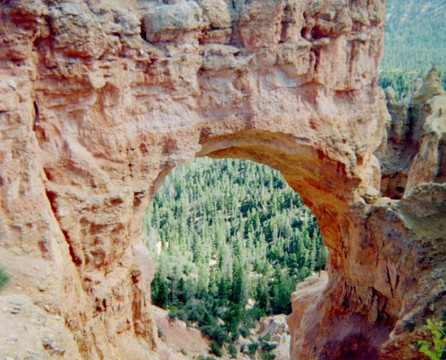 National Park Tourz-卡纳布必去景点