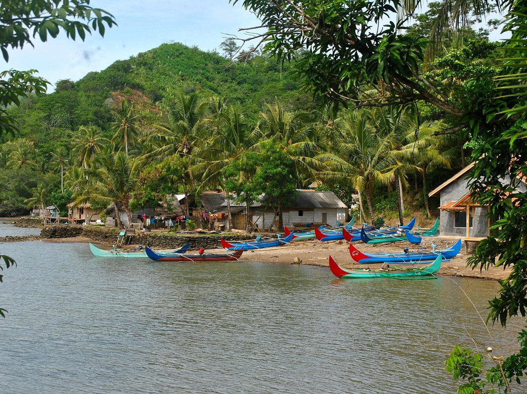 Teluk Kiluan-Tanggamus必去景点