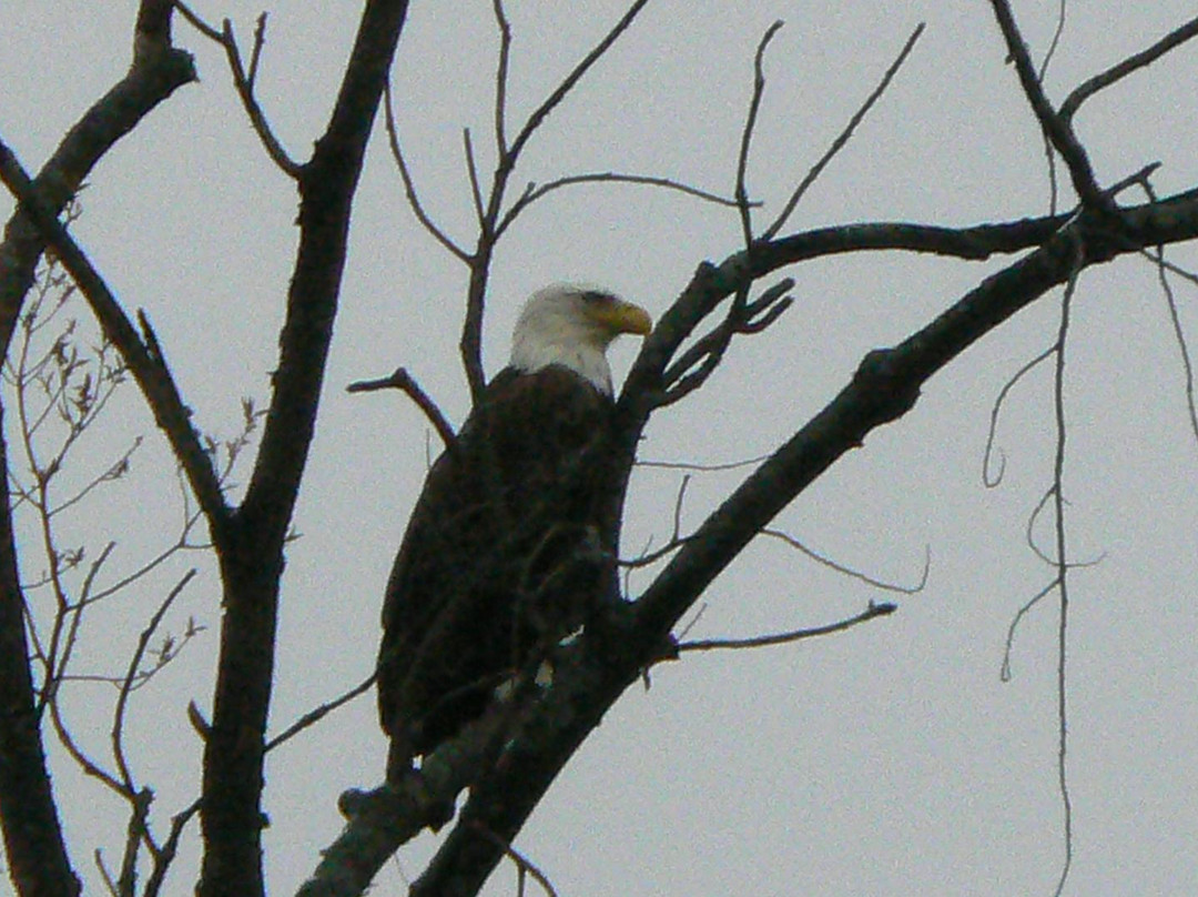 Chapman State Park-Clarendon必去景点