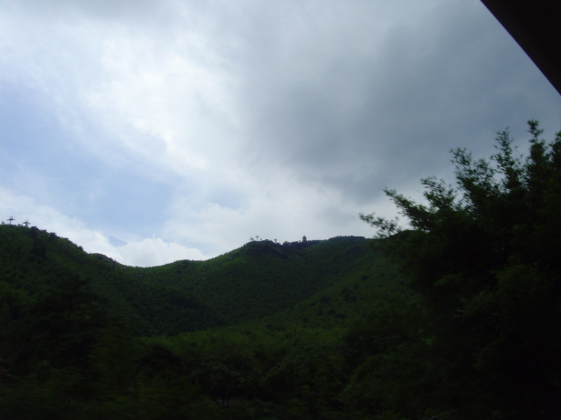 宜兴金陵竹海国际会议中心-客卧