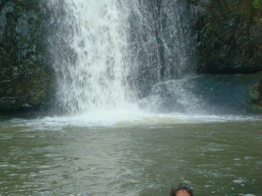 Floriham TreeTop Adventures-Canovanas必去景点