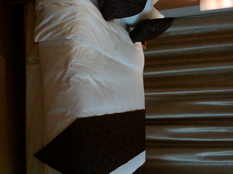 武汉帝盛酒店(江汉路步行街汉口江滩店)主图