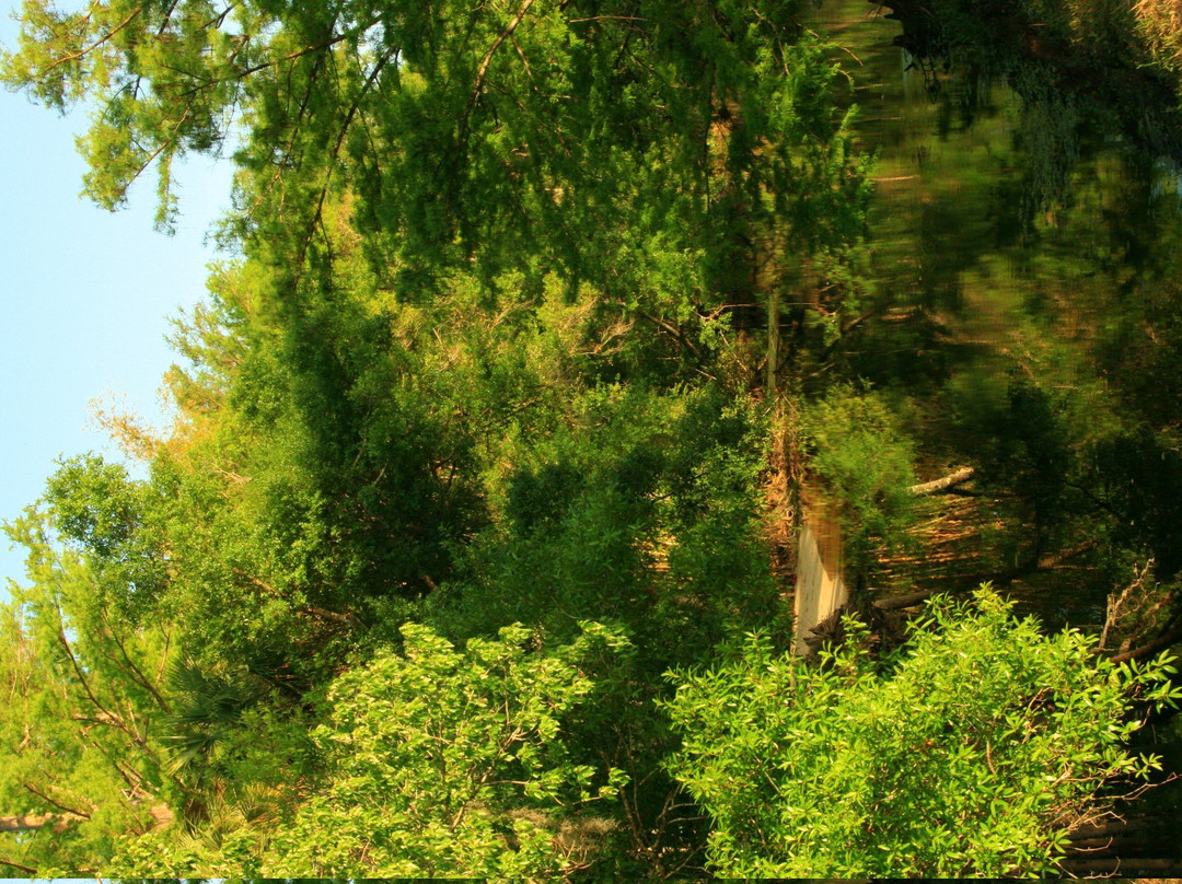 Riverbend Park-朱庇特必去景点