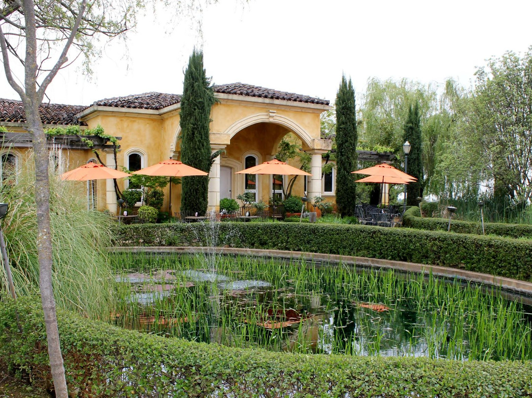 Villa Toscano Winery景点图片