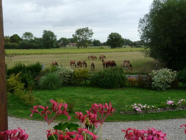 Mil Roses en Baie主图