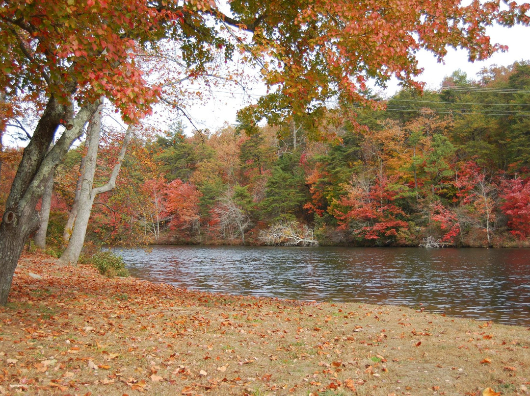 DeSoto State Park-Fort Payne必去景点