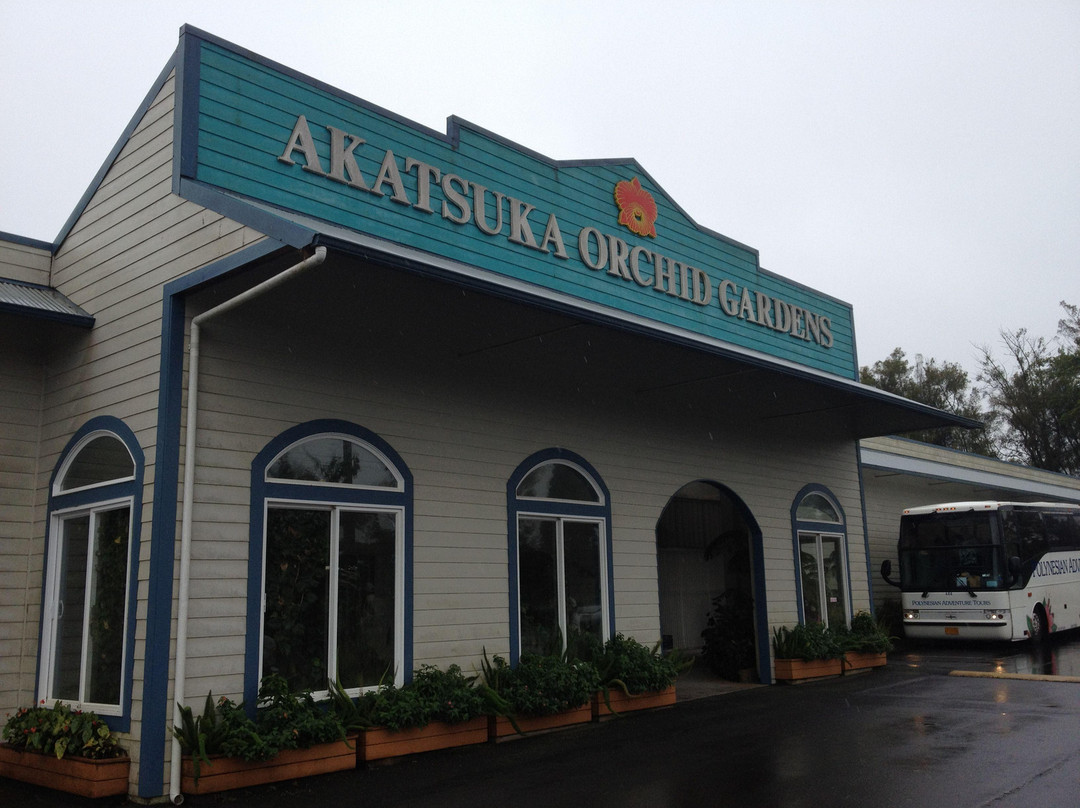 阿卡祖卡兰花园-火山必去景点