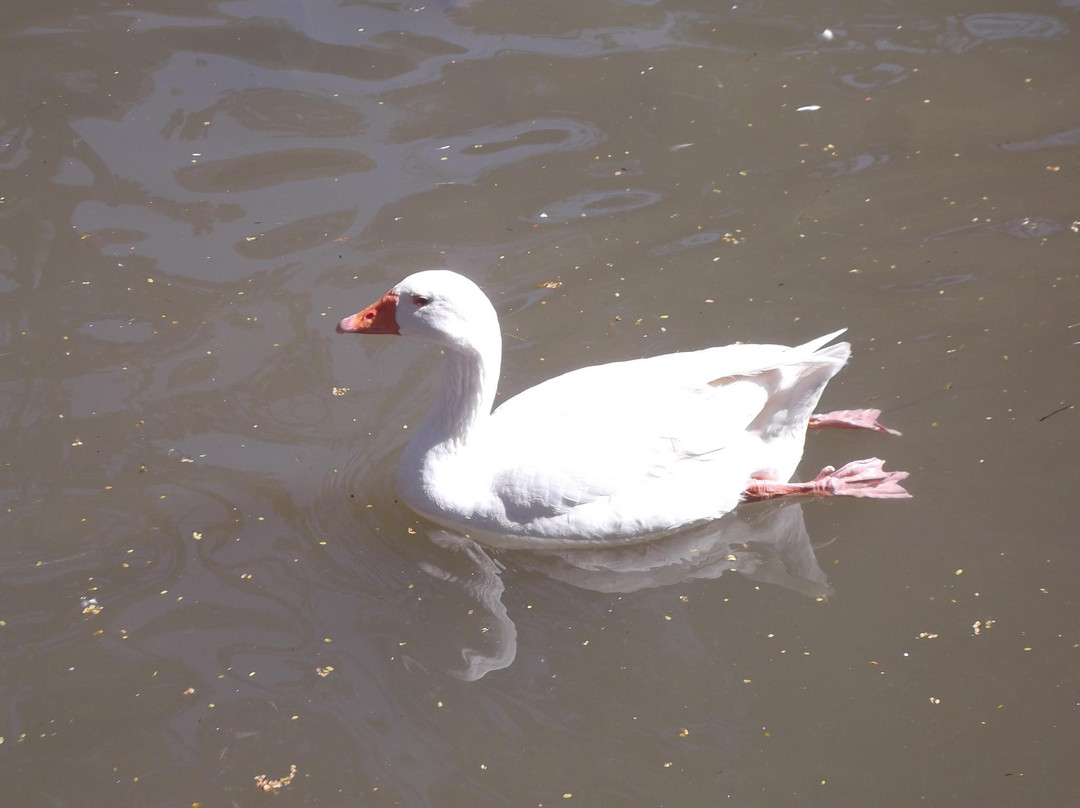 Fazenda do Chocolate-伊图必去景点