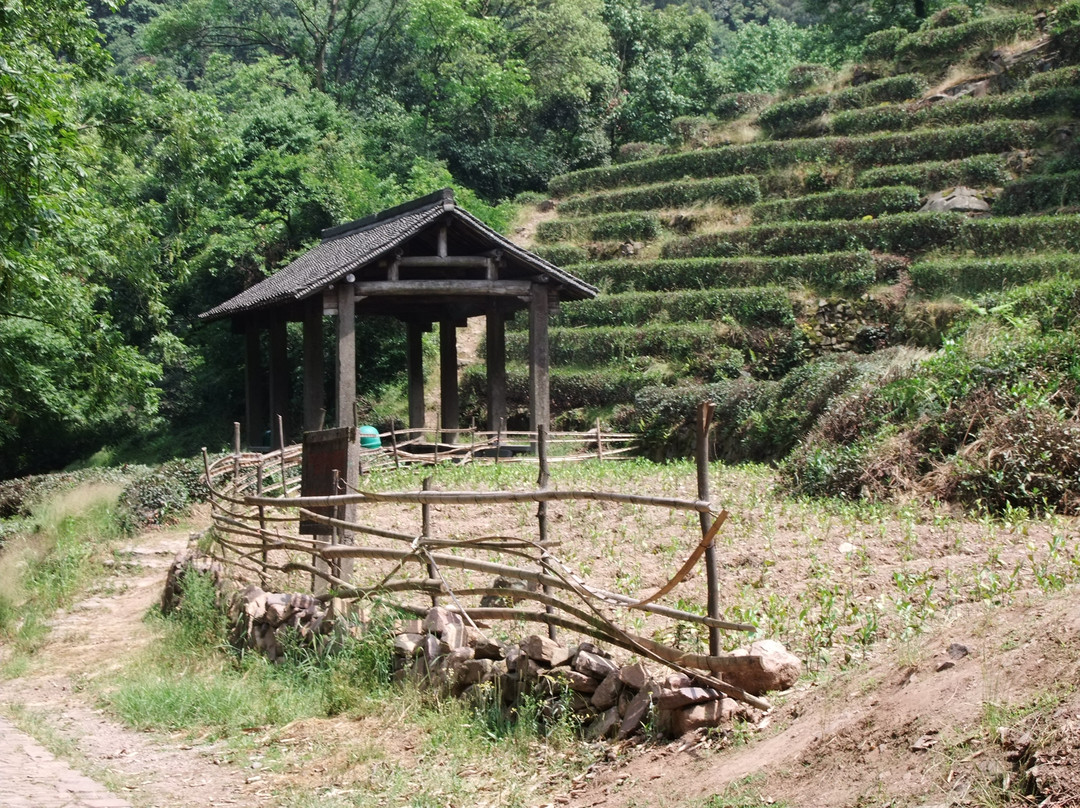 九溪十八涧-杭州市必去景点