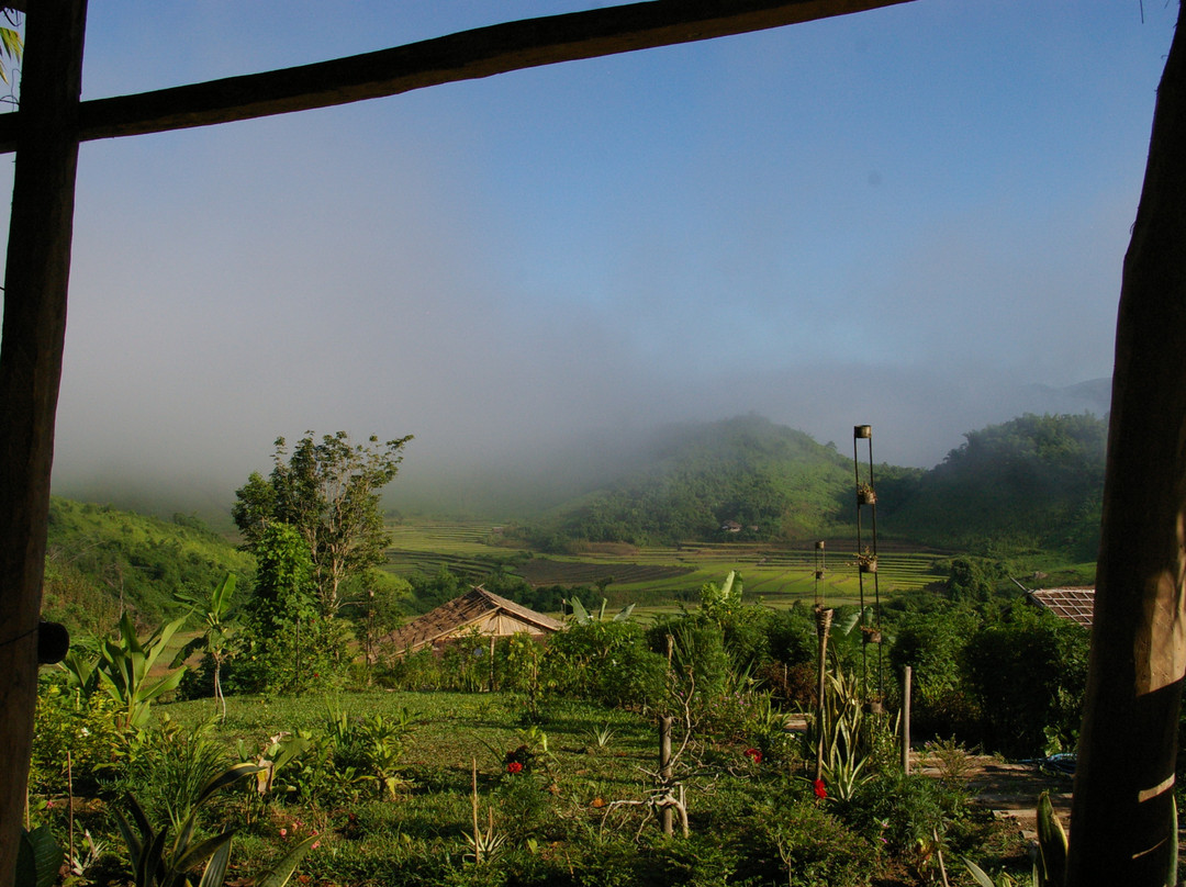 Bamboo Nest de Chiang Rai