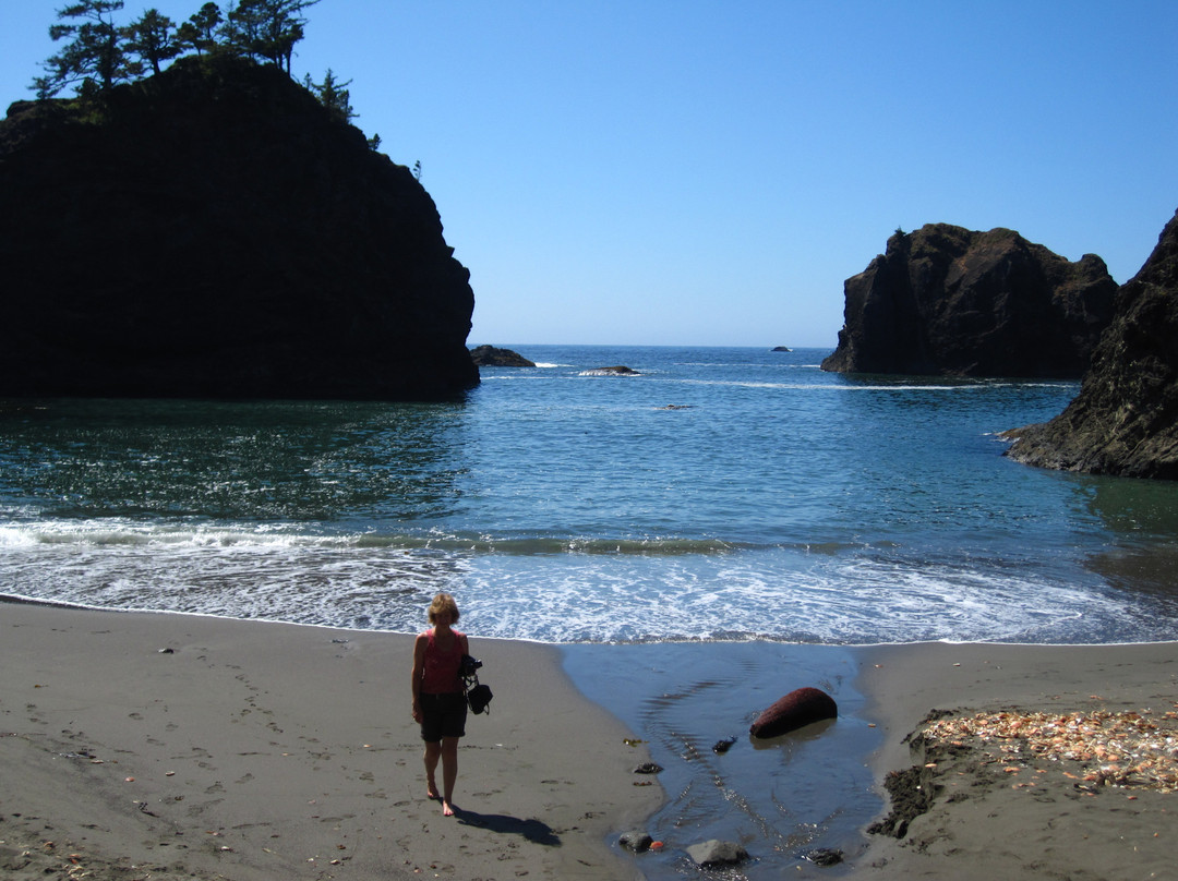 Samuel H. Boardman State Scenic Corridor-布鲁金斯必去景点