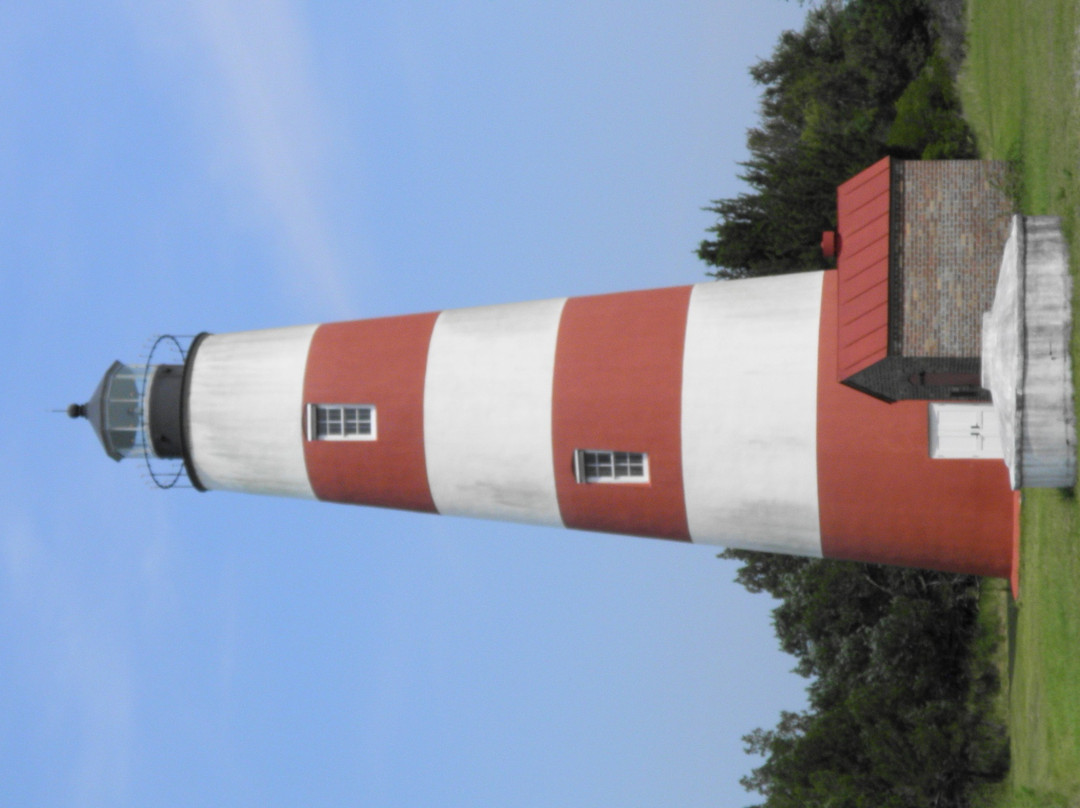 Sapelo Island National Estuarine Research Reserve-Sapelo Island必去景点