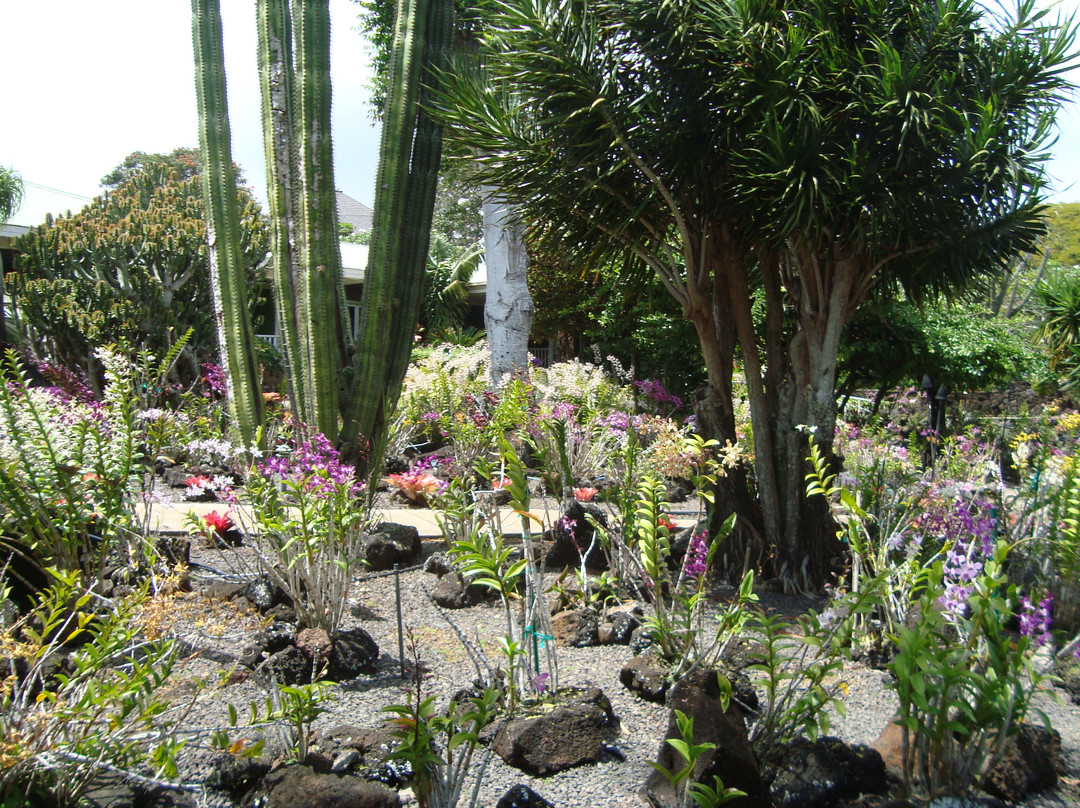 可洛亚历史路径-可洛亚必去景点