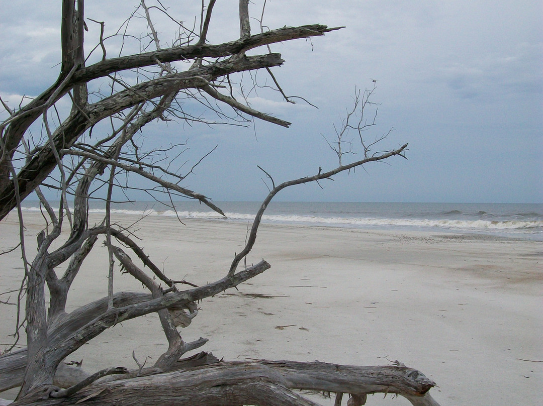 Little Talbot Island State Park-杰克逊维尔必去景点