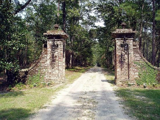 Mansfield Plantation主图