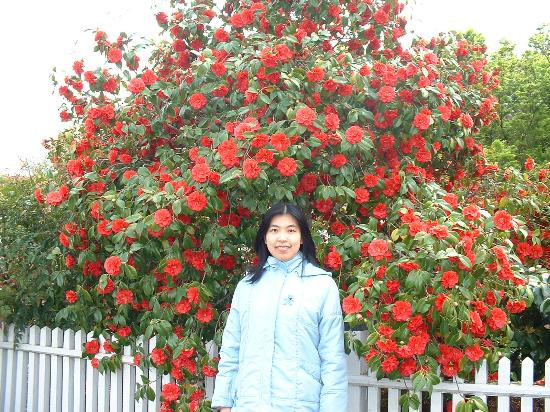 Luther Burbank Home & Gardens景点图片