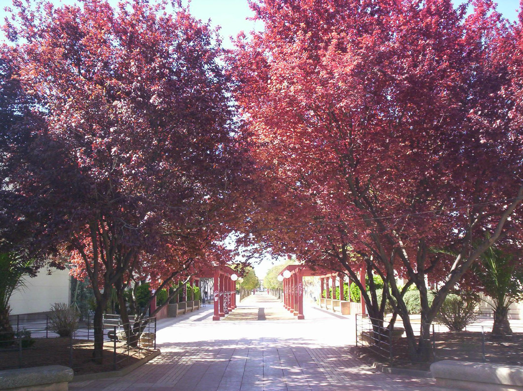 Hostal Donaire主图