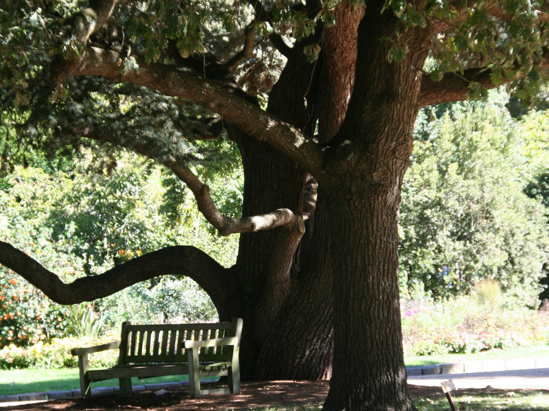Colac Botanic Gardens-科拉克必去景点