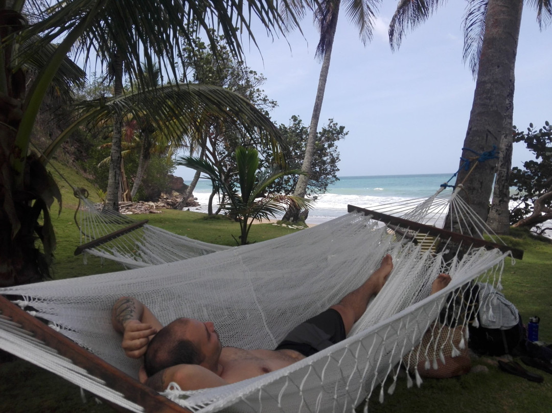 Villas Playa de Uva主图