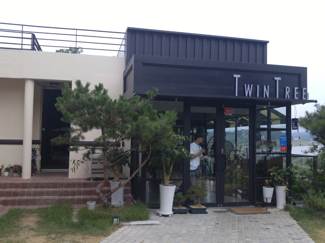 트윈트리