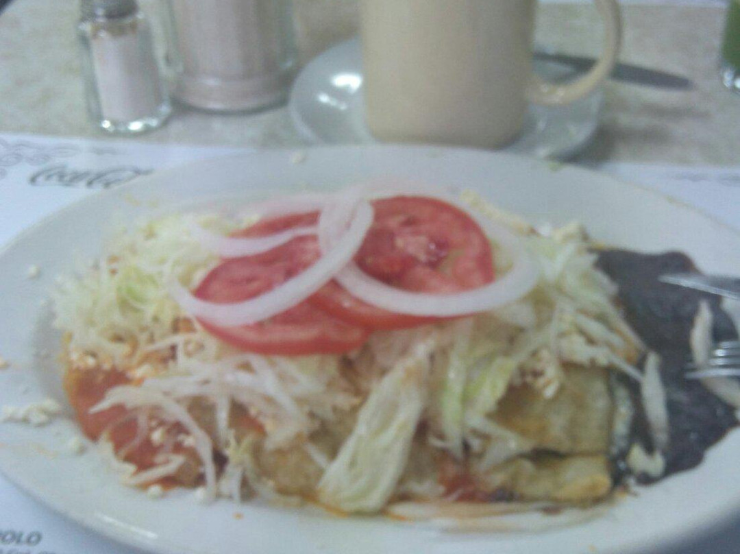 Poza Rica餐馆和美食-Cafe Manolo