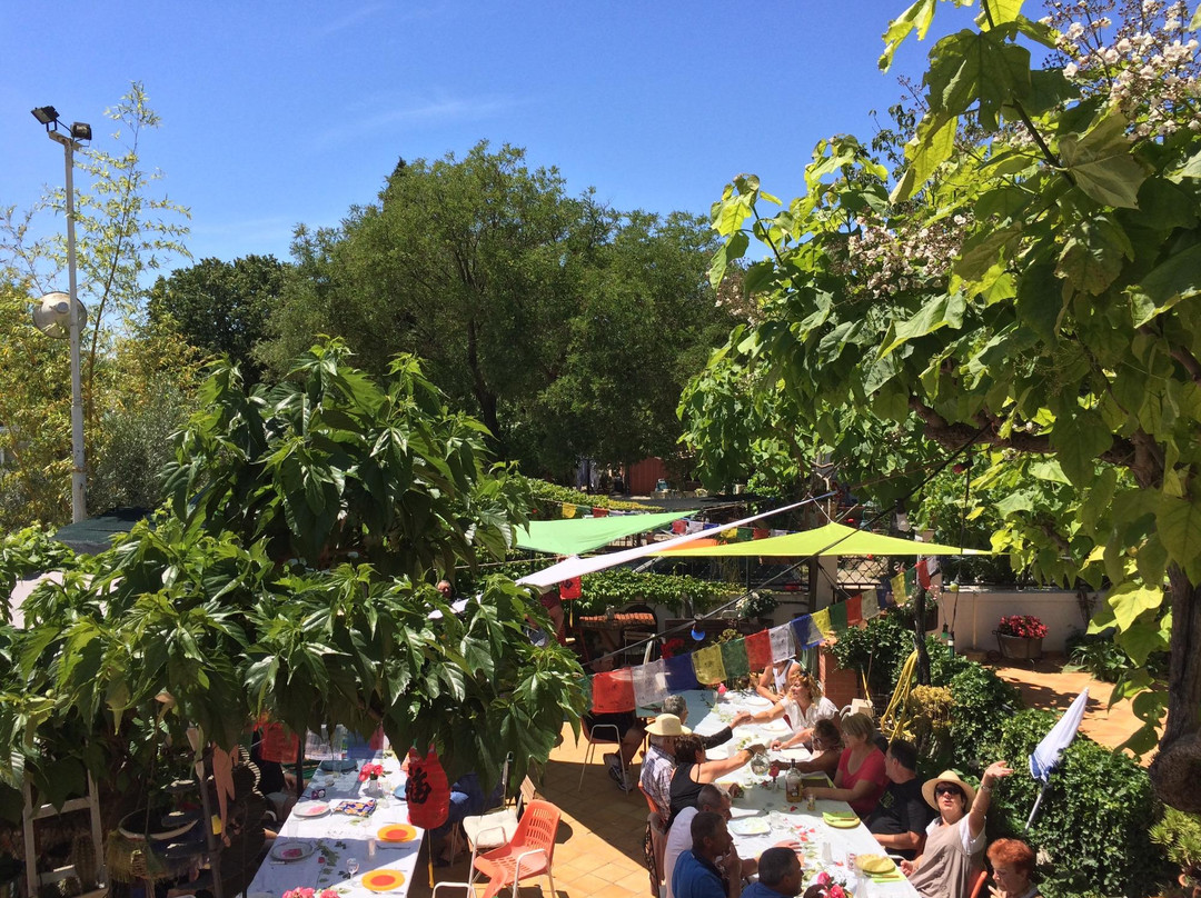 Camping Du Pont De Lunel