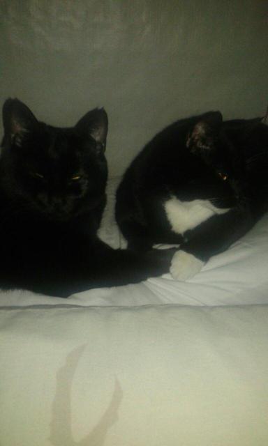 Point Glover Carriage Inn-浴室