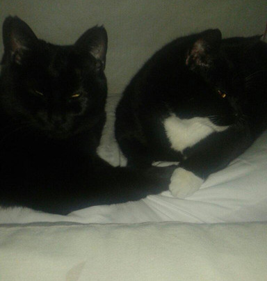 Port Orchard酒店住宿-Point Glover Carriage Inn