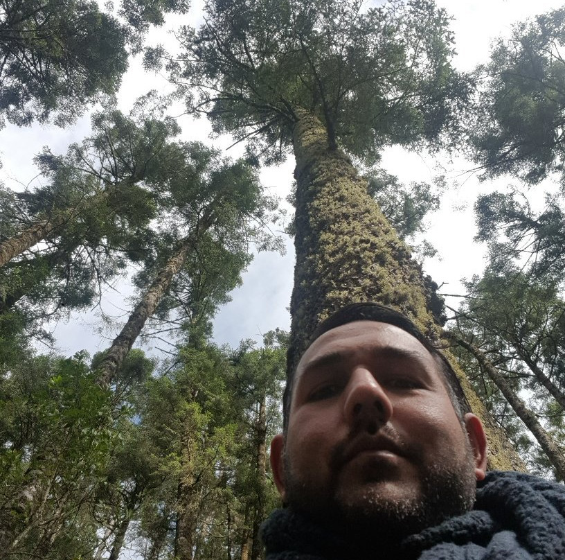 La Reserva de la Biosfera Mariposa Monarca-米却肯必去景点