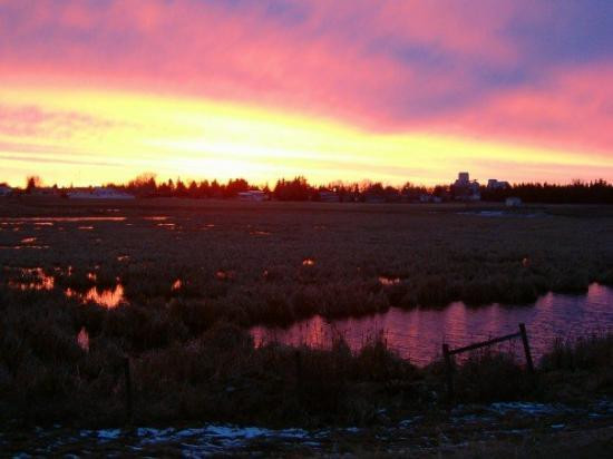 Killam旅游攻略图片