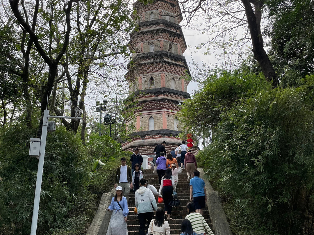 惠州泗洲塔景点图片