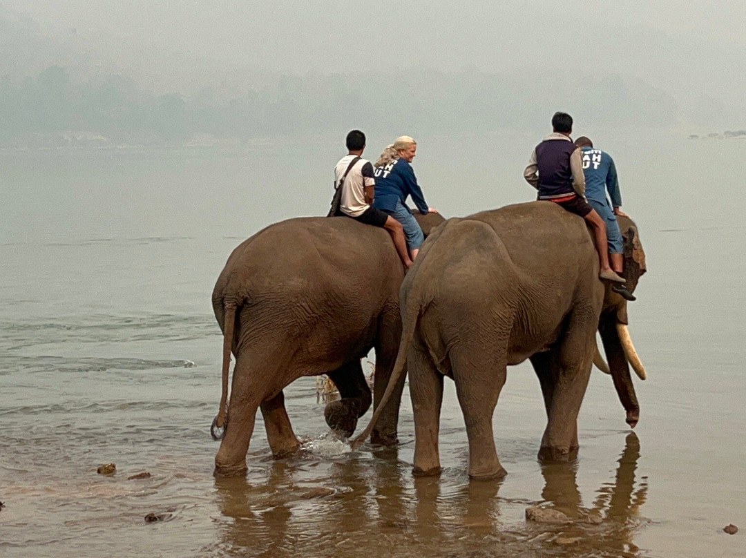 Manifa Elephant Camp景点图片