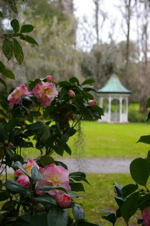 Magnolia Plantation & Gardens-查尔斯顿必去景点