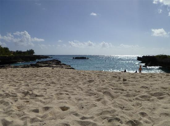 Smith Cove-大开曼岛必去景点