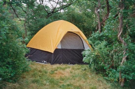 Bumpkin Island-赫尔必去景点