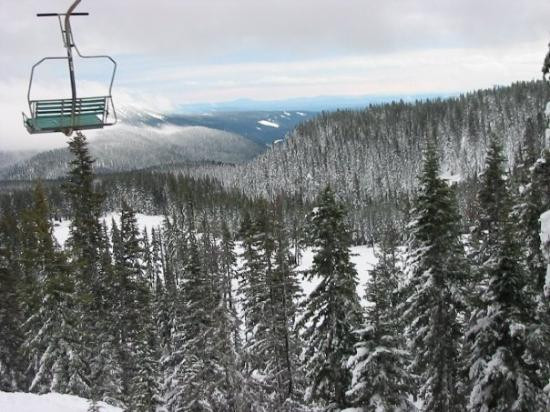 Mt. Hood Adventure Park at Skibowl-Government Camp必去景点
