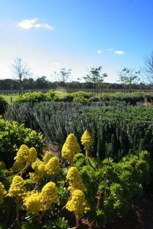 Margaret River Regional Wine Centre-Cowaramup必去景点