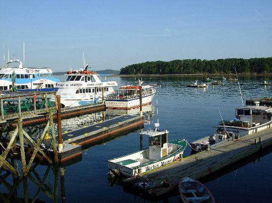 Bar Harbor Whale Watch Co.-巴港必去景点