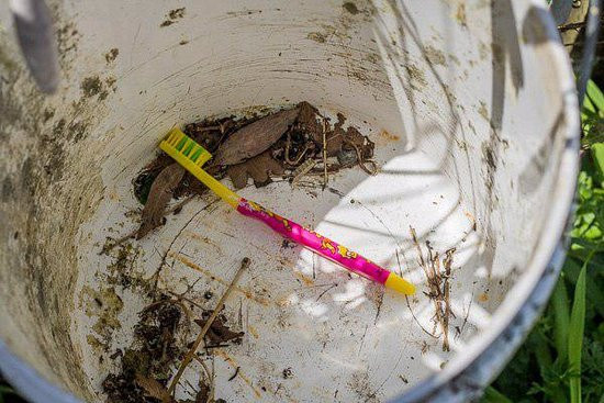 The Toothbrush Fence-汉密尔顿必去景点