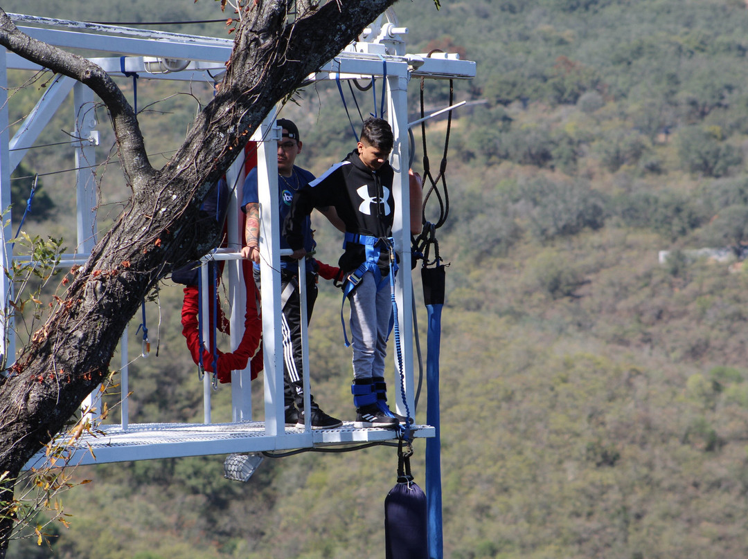 IBO Adventures-蒙特雷必去景点