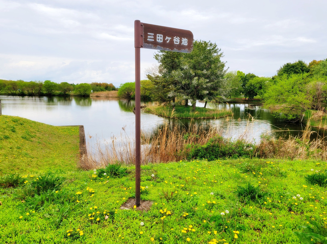 Hanyu Suigo Park-羽生市必去景点