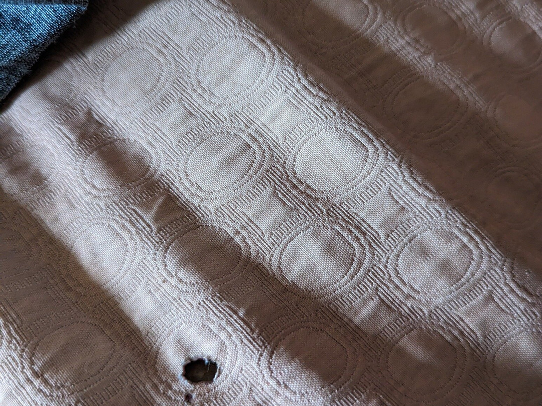 Super 8 by Wyndham Madison/Ridgeland Area主图