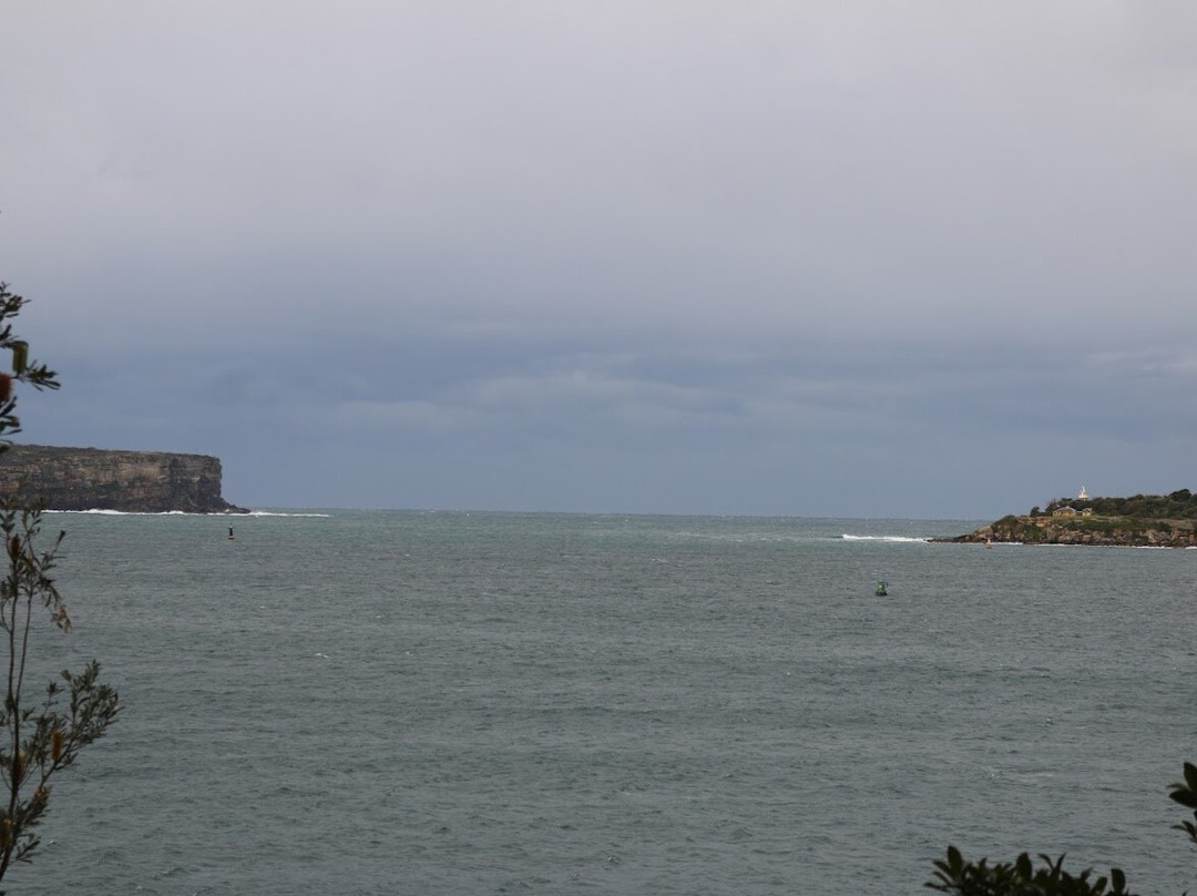 Headland Park-莫斯曼必去景点