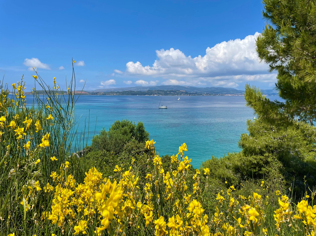 Enalion Suites主图