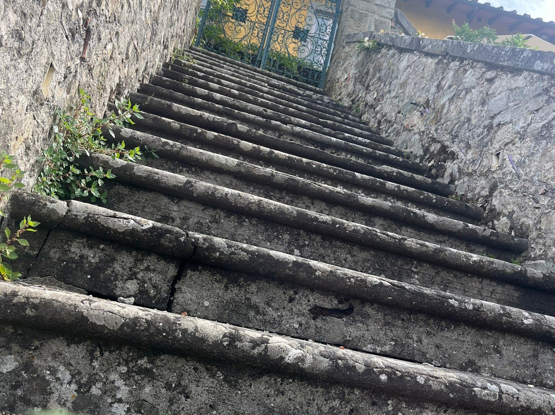 Villa Di Campolungo Agriturismo主图